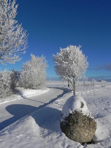 Wintersport in Weitnau
