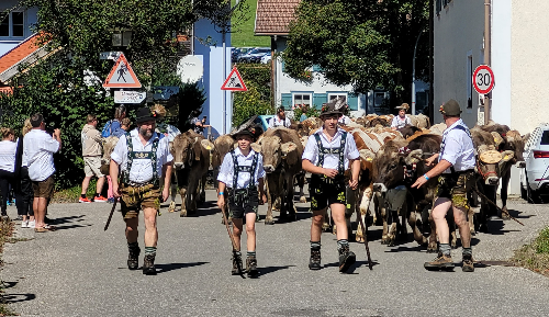 Bilderbuch-Viehscheid krönt Super-Sommer