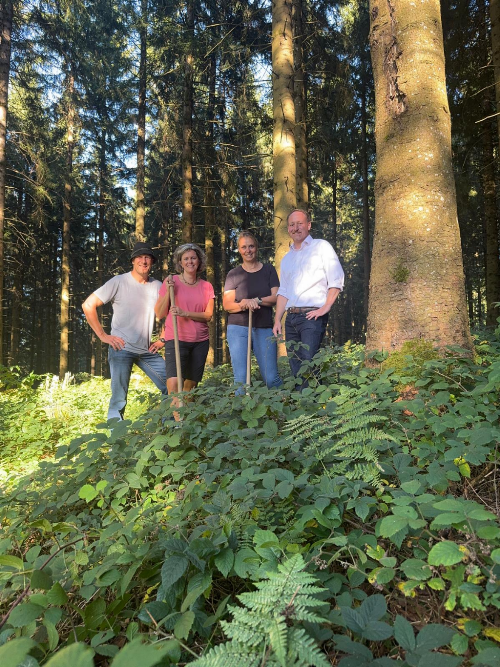 Baumpflanz-Challenge in Weitnau