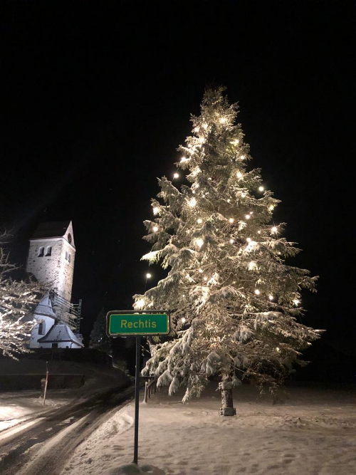 Christbäume gesucht